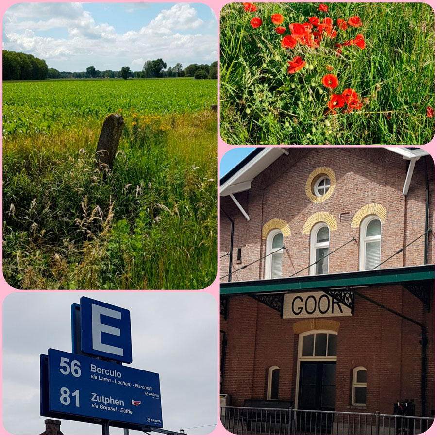 Markveldse wandeling Diepenheim