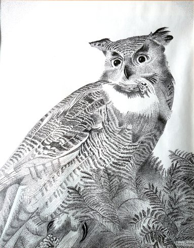 Pentekening door Kees Belogne van een uil